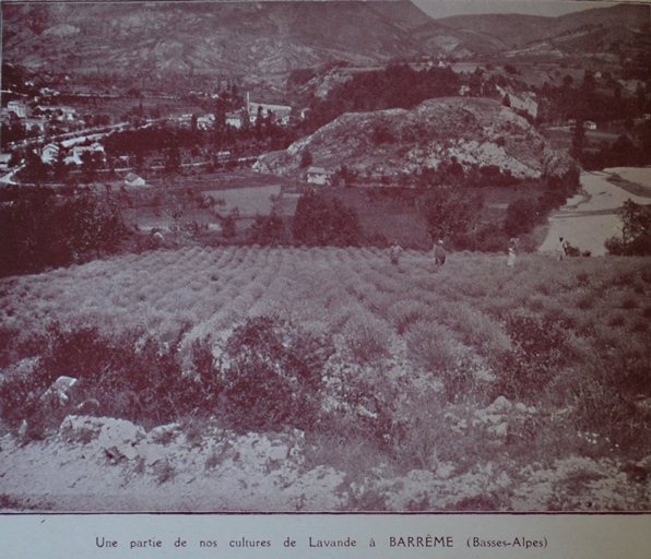 présentation de la commune de Barrême