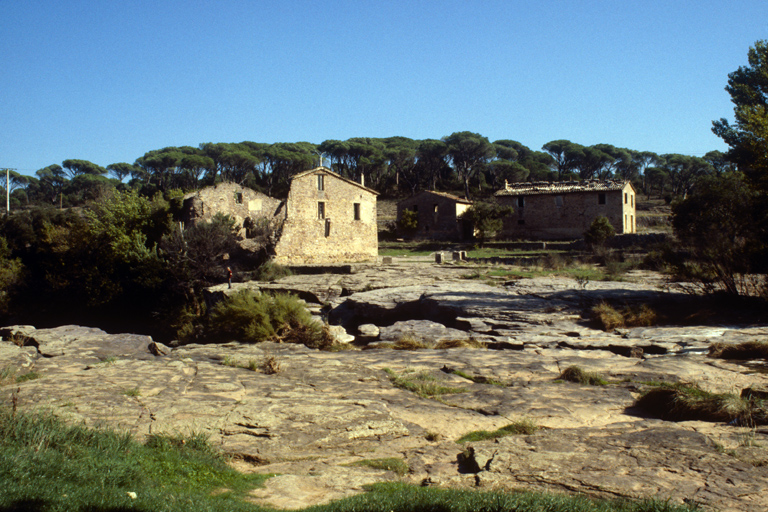 présentation de la commune de Vidauban