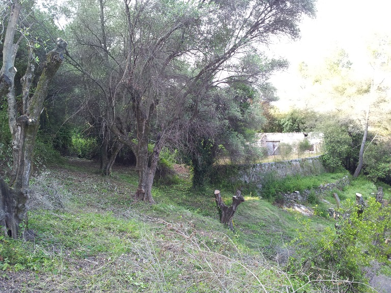 Vue d'ensemble prise de l'ouest, avant les travaux de 2012. 