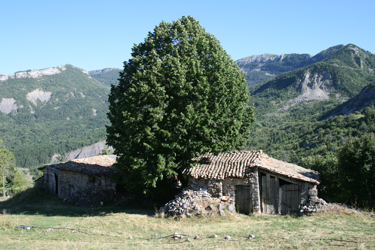 présentation de la commune de Senez