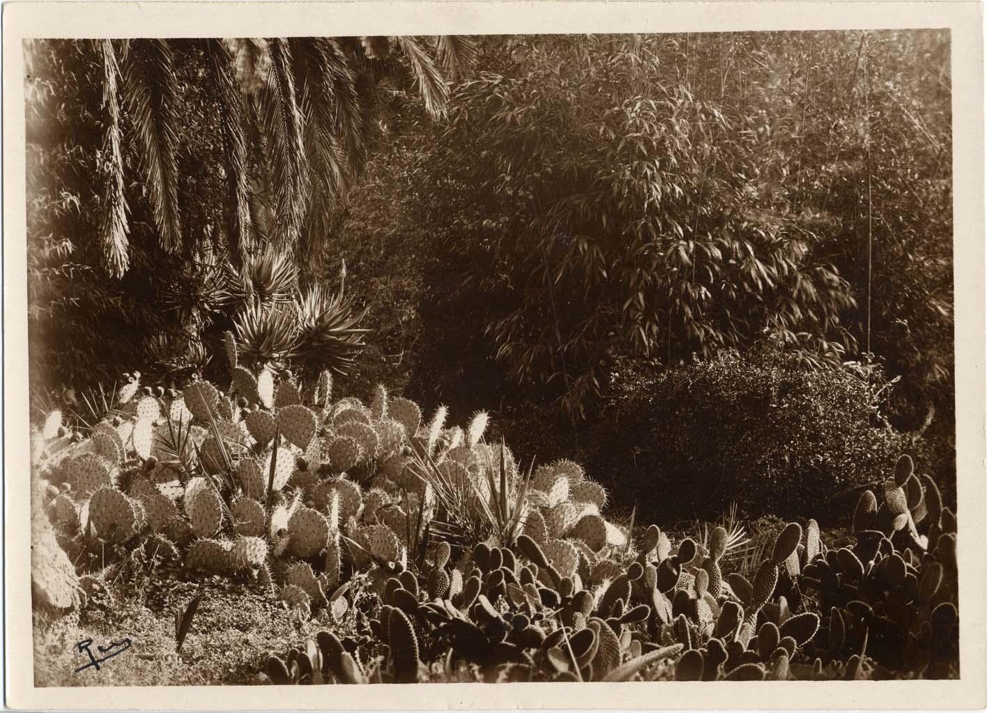 jardin d'agrément jardin de la Villa Eléonore-Louise