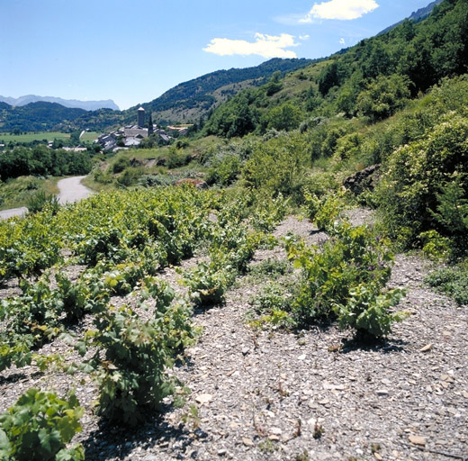 présentation de la commune de Saint-Clément-sur-Durance