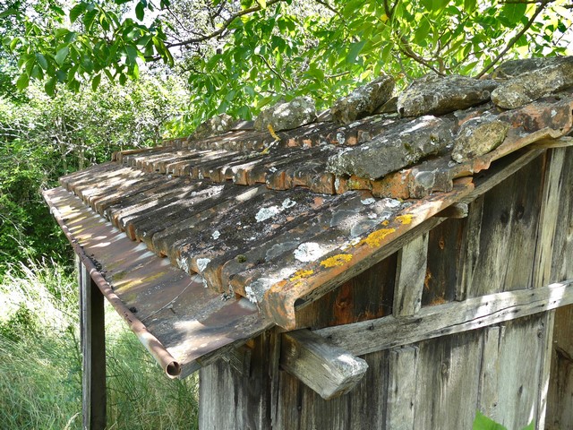 Couverture en tuile plate mécanique, « cabanon » en bois au Grand Pré.