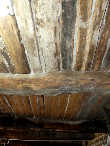 Etage de soubassement, étable. Partie est, plafond.