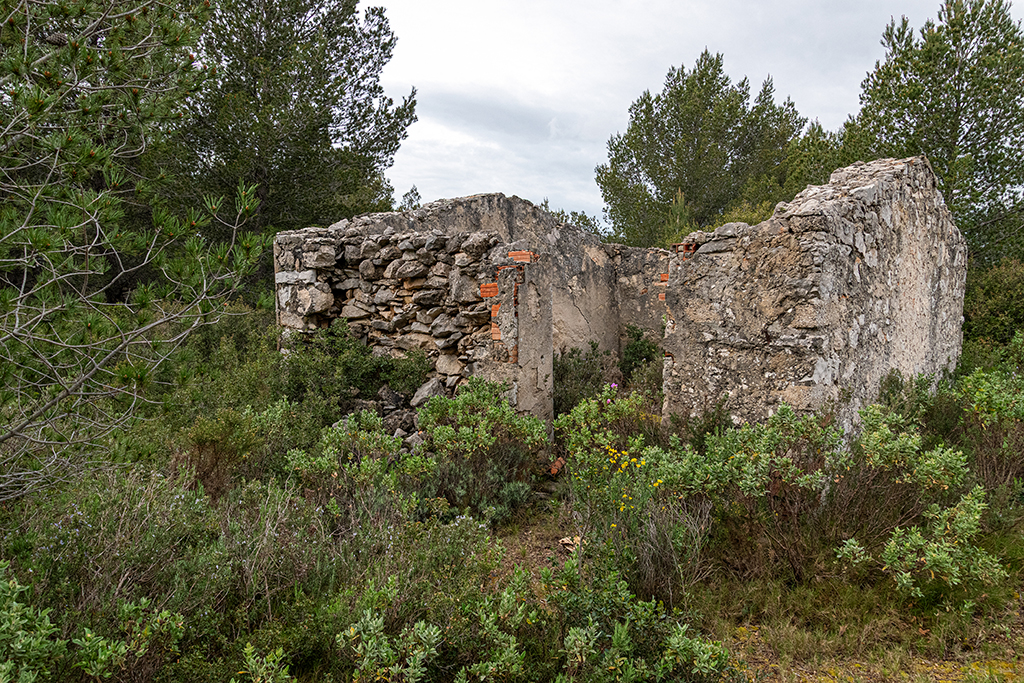Abri-soute en maçonnerie traditionnelle, à l'arrière des cuves