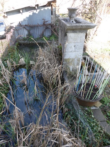 Bassin et fontaine.