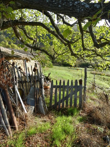 Portillon du jardin.