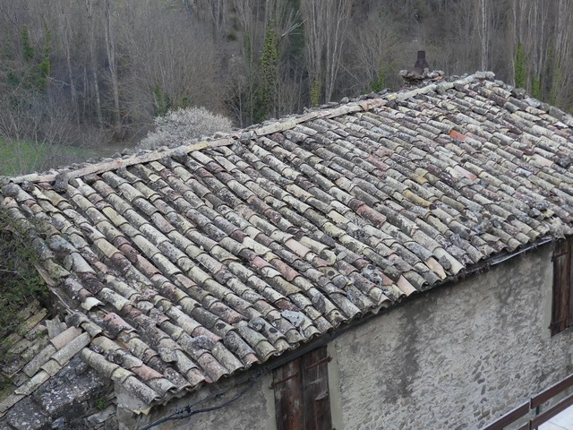 Couverture en tuile creuse du toit à longs pans.