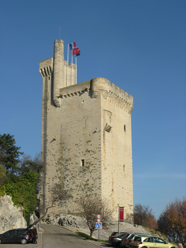 pont Saint-Bénezet ou pont d'Avignon, ses chapelles Saint-Bénezet et Saint-Nicolas et ses tours d'entrée dites Châtelet et tour Philippe-le-Bel