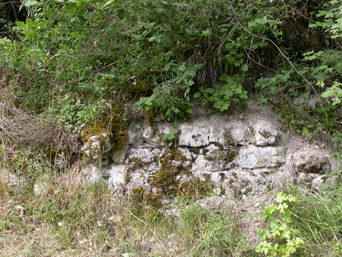 bourg castral de Barrême