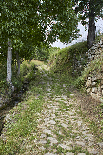 Braux. Quartier des Clapières. Tronçon pavé de lauses reliant le village à l'écart des Ségeaux.