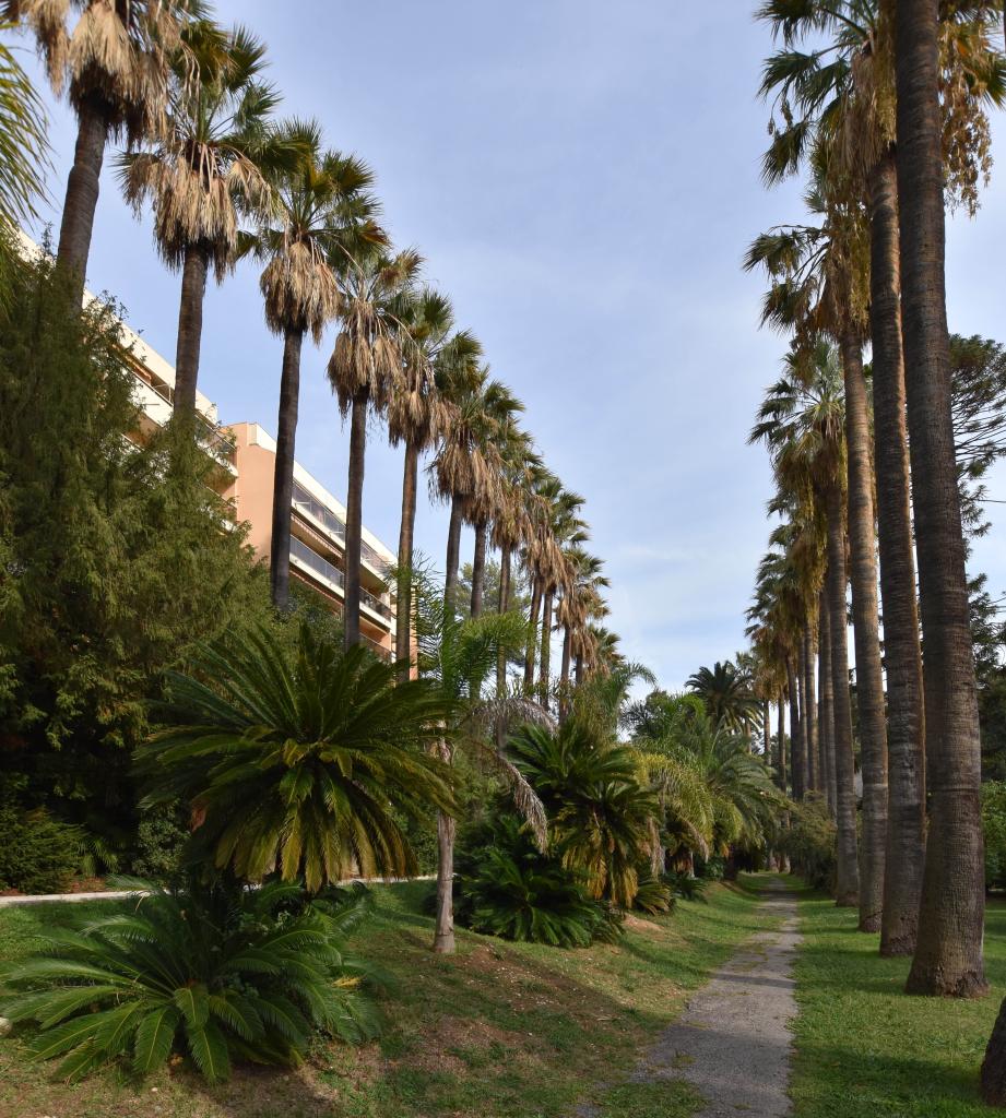 jardin d'agrément de la villa L'Africaine, actuellement parc de l'Indochine et jardin des Résidences Château Sainte-Anne