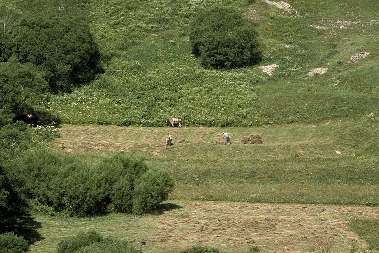 présentation de la commune de La Grave