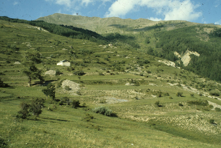 églises paroissiales, chapelles