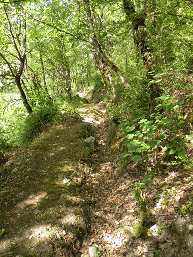 canal d'irrigation