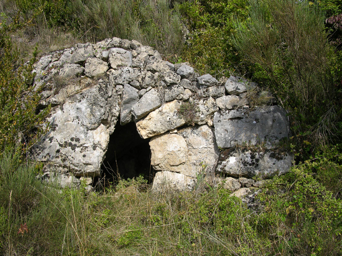 cabane