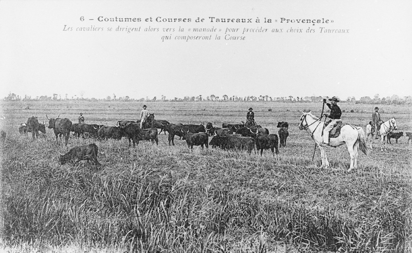 présentation de l'étude sur l'architecture des arènes de Provence-Alpes-Côte d'Azur