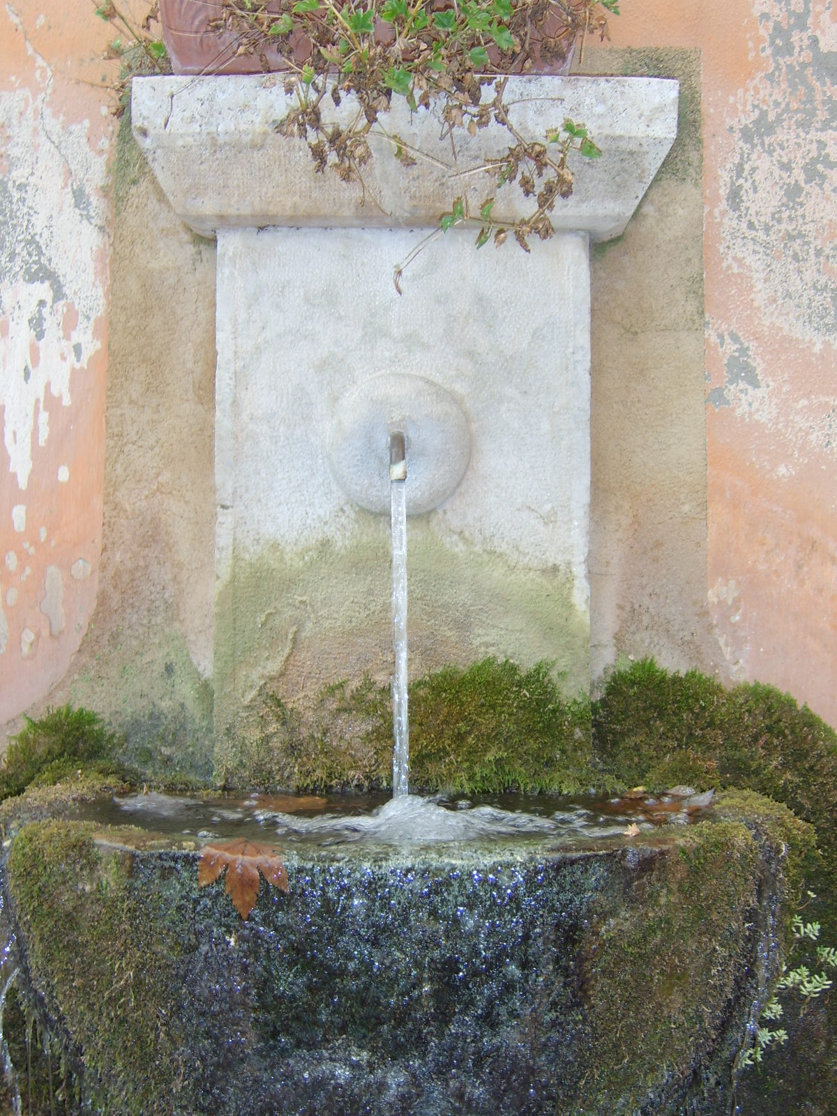 fontaine dite fontaine hôtel-dieu