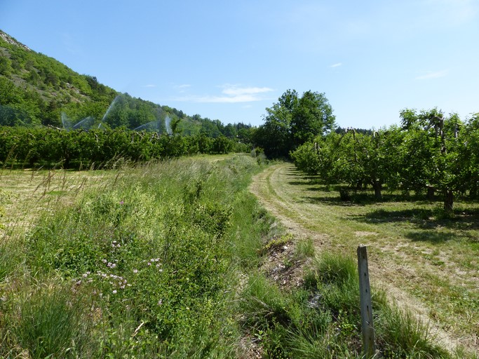 Passage du canal d'arrosage au quartier de Touissane. Vue prise du sud.