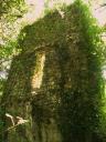 colombier