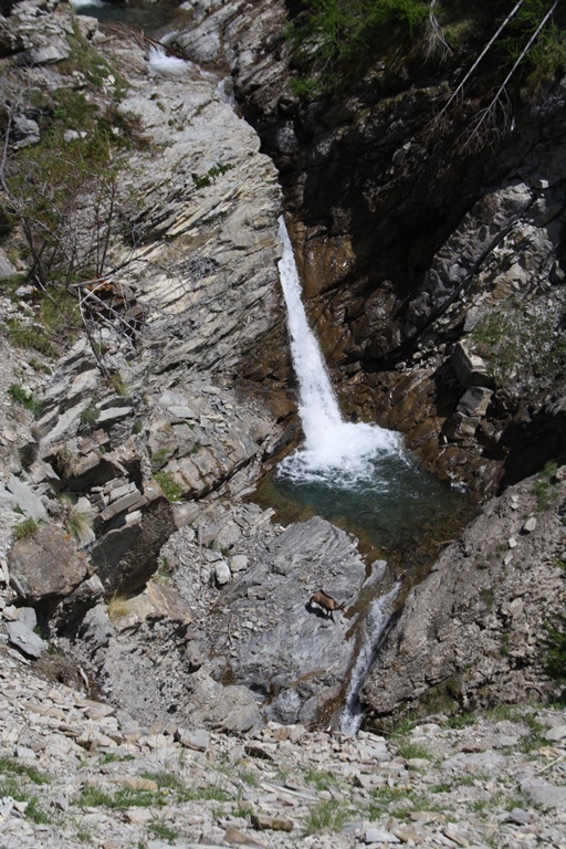 Cascade dans le ravin de Rougnouse.