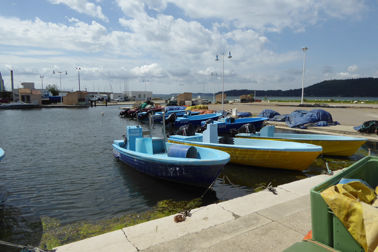 Port de Pertuis