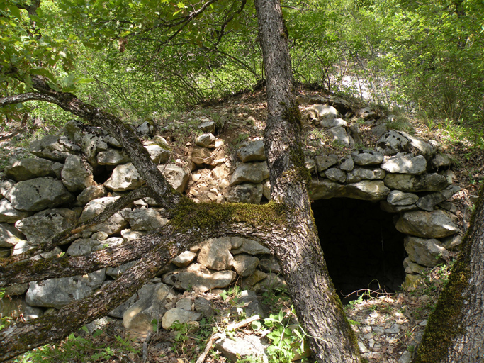 cabane de cultivateur