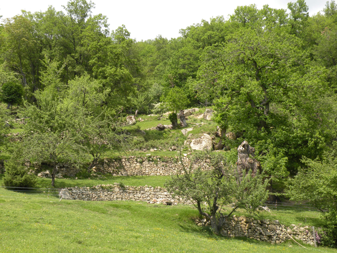 Terrasses de culture, arbres fruitiers et châtaigneraie. Quartier du Briel.