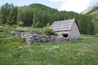 cabane de berger et de cultivateur puis cabane pastorale