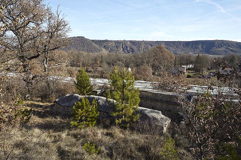 Vue des vestiges de l'église Notre-Dame-des-Fraisses de Châteauneuf depuis le nord-ouest