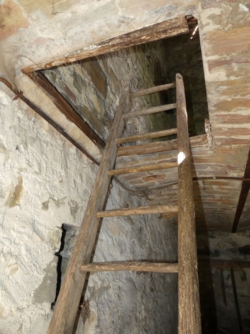 Rez-de-chaussée, étable. Angle nord-ouest, trappe d'accès au fenil et échelle.