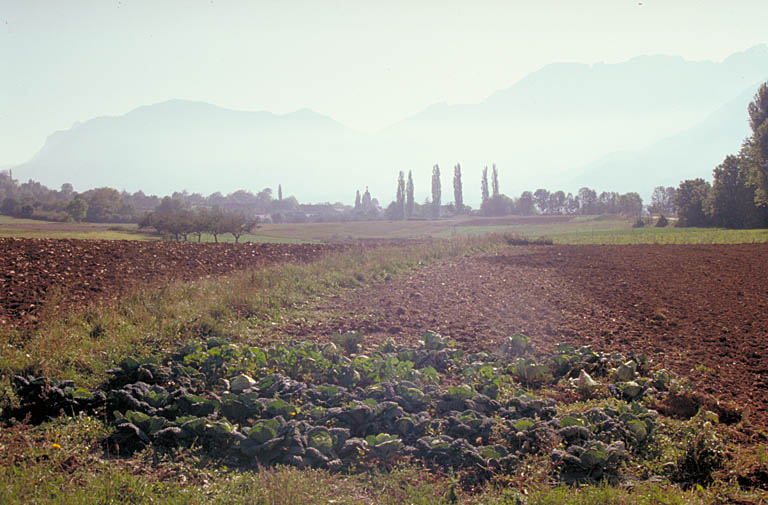 présentation du canton de Saint-Bonnet-en-Champsaur