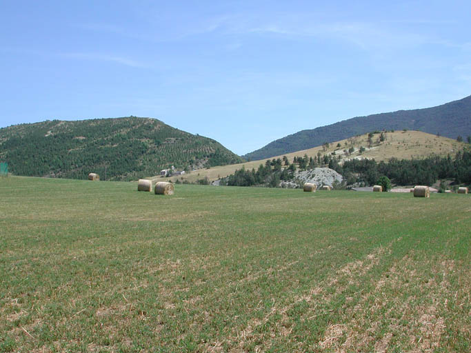 Présentation de la commune de Saint-André-les-Alpes