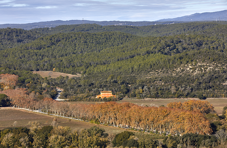 présentation de la commune de Vidauban