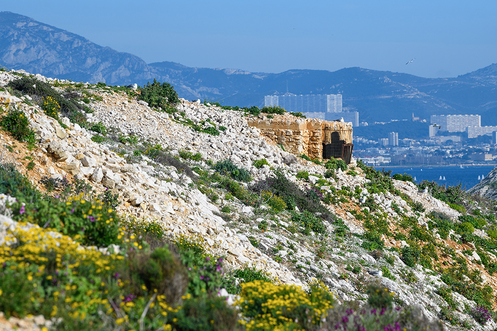 Batterie sudwall,  poste de défense mieux conservé pour mitrailleuse à flanc de pente, vue latérale extérieurep