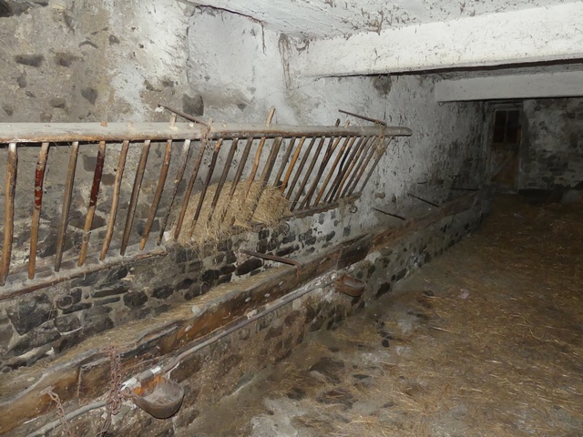 Etage de soubassement, étable ouest. Mur est, mangeoire avec râtelier surmonté des trous d'abat-foin.
