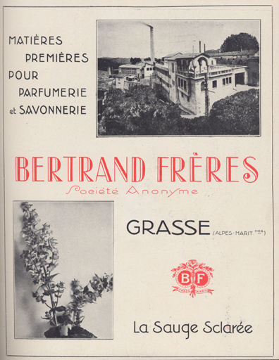 parfumerie Bertrand Frères, actuellement immeuble à logement