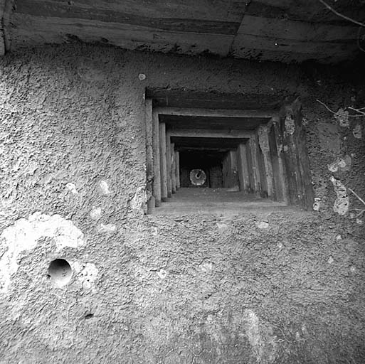 série de 12 blockhaus dits casemates d'intervalle, de la ligne fortifiée des ouvrages d'avant-poste, secteur fortifié des Alpes-Maritimes