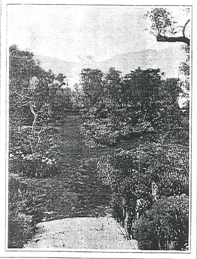 jardin d'agrément de la Villa Maryland