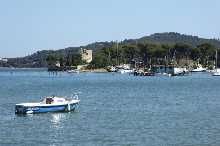 Ports et aménagements portuaires de la commune de La Seyne-sur-Mer