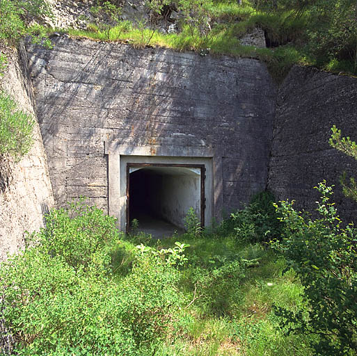 Ouvrage d'artillerie dit batterie Peluna : porte d'accès aux emplacements de tir à barbette des obusiers de 100.