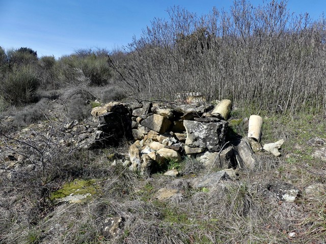 Rucher, au Grand Pré.