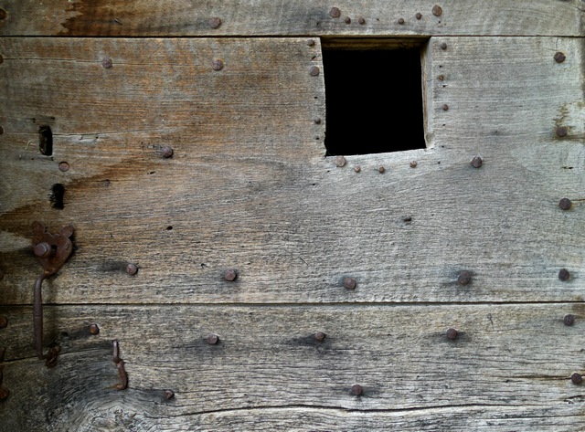 Bâtiment principal. Elévation est, premier niveau. Porte de la resserre sud, détail de la menuiserie.