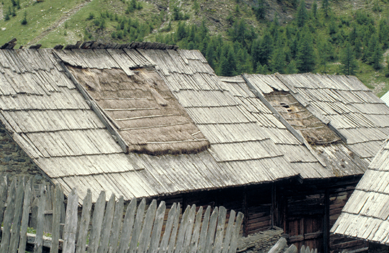 Versant ouest des toitures. Panneau de chaume.