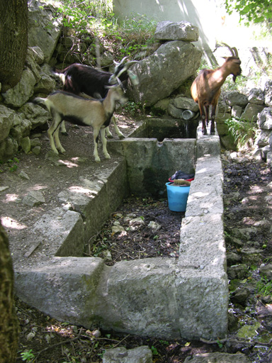 lavoir