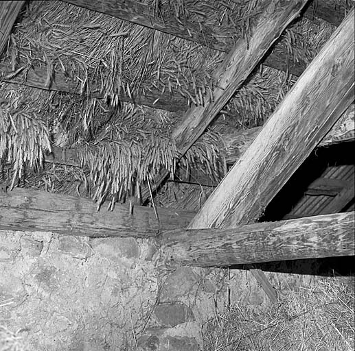 Le toit de chaume : détail pris de l'intérieur de la grange. Noter que l'entrait est maçonné dans le mur et non pincé entre deux pannes.