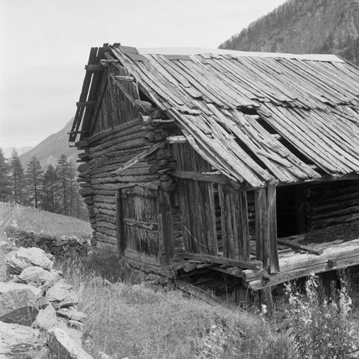 ferme (chalet d'estive)