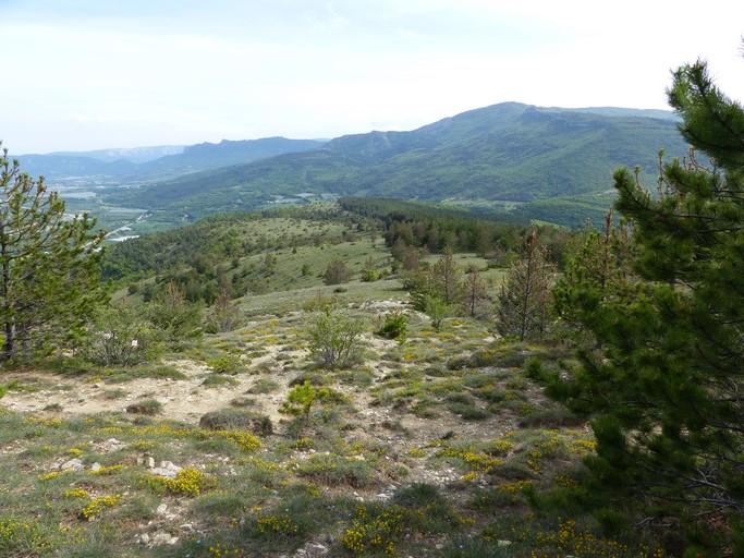 Le quartier du Grand Serre : à gauche, l'ancienne commune de Châteauneuf ; à droite l'ancienne commune de Pomet couverte de plantations résineuses.