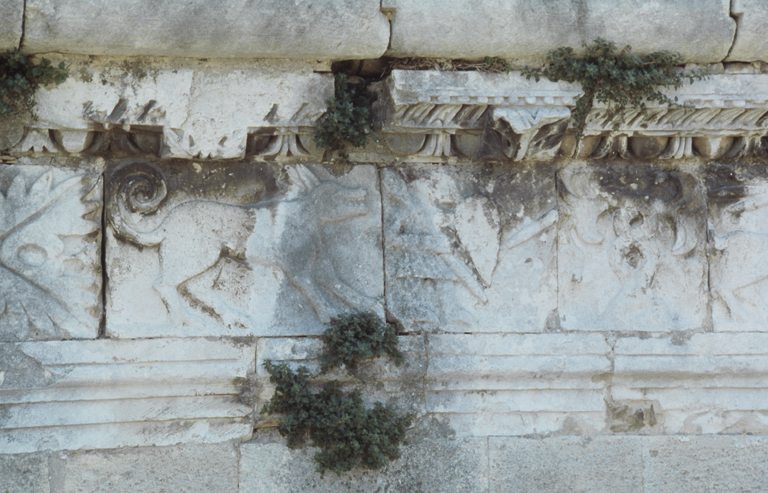 ensemble frise et 2 corniches