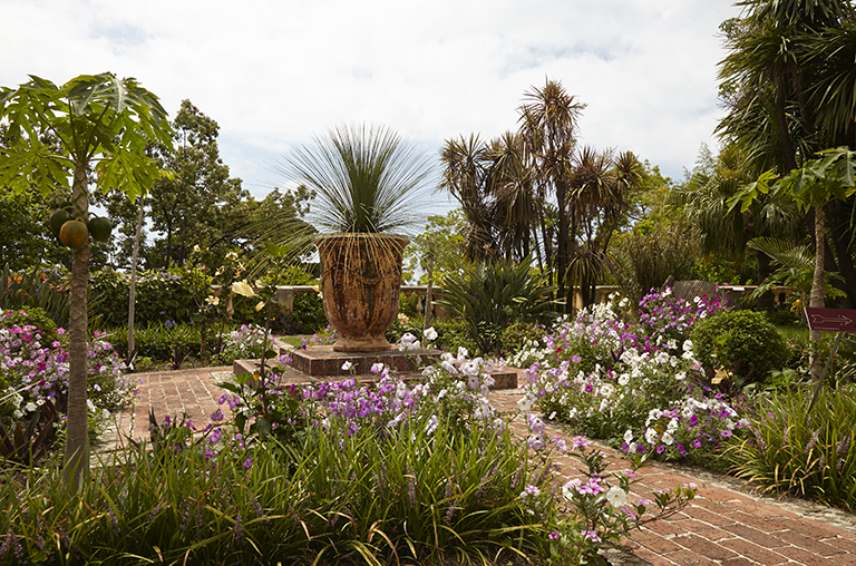 Jardin régulier : les parterres à la fin du printemps. Massifs floraux intégrant strelitzias, hibiscus et papayers.
